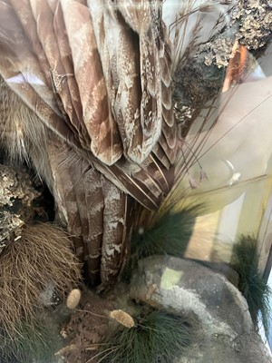Lot 120 - Taxidermy: a Eurasian eagle owl