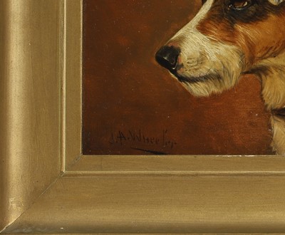 Lot 421 - Alfred Wheeler (1851-1932)