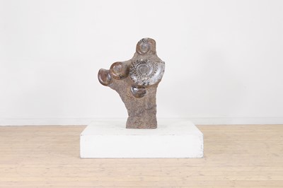 Lot 329 - An ammonite group