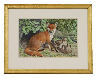 Lot 427 - Charles Frederick Tunnicliffe RA (1901-1979)