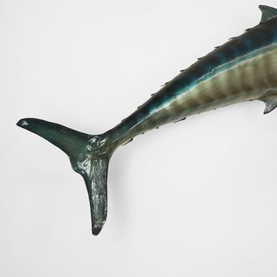 Lot 521 - A taxidermy wahoo (Acanthocybium solandri)