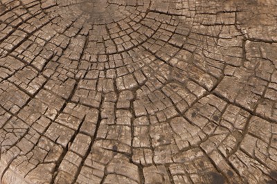 Lot 54 - A provincial elm chopping block