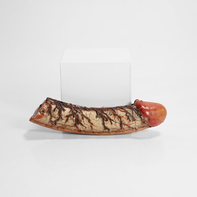 Lot 459 - A French painted composition anatomical model of a penis