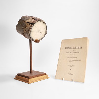 Lot 330 - A petrified ivory tusk section