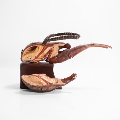 Lot 461 - A painted papier mâché, wood and plaster anatomical model of a bee's head