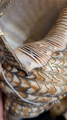 Lot 109 - A silver-gilt-mounted triton (Charonia tritonis) shell