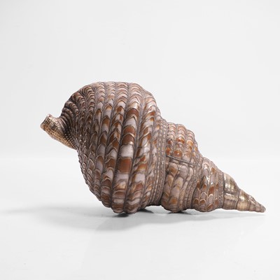 Lot 109 - A silver-gilt-mounted triton (Charonia tritonis) shell