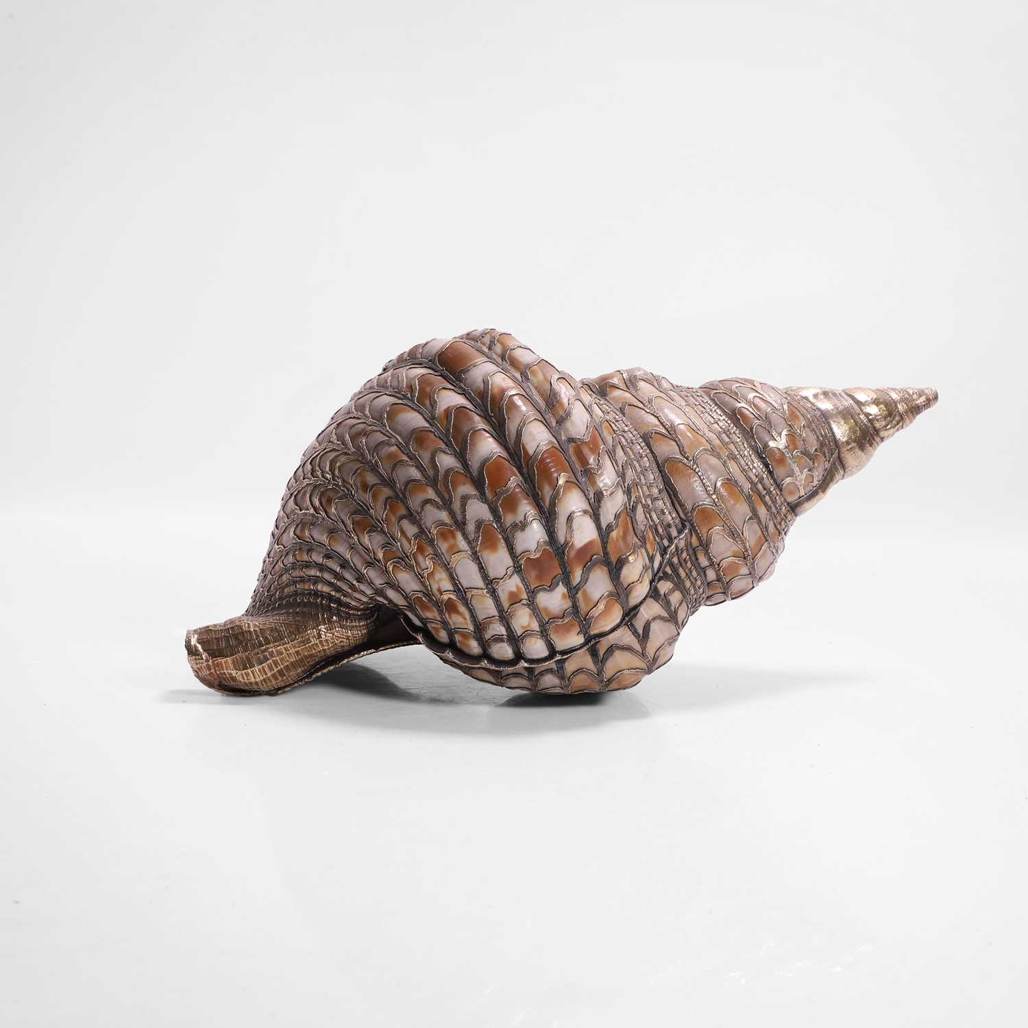 Lot 109 - A silver-gilt-mounted triton (Charonia tritonis) shell
