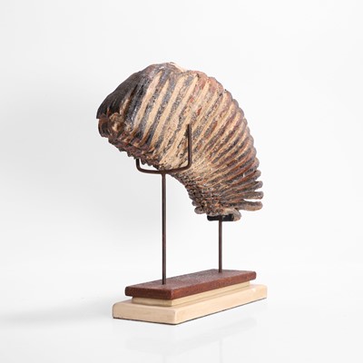 Lot 136 - A fossilised woolly mammoth (Mammuthus primigenius) tooth