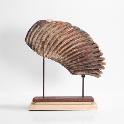 Lot 136 - A fossilised woolly mammoth (Mammuthus primigenius) tooth