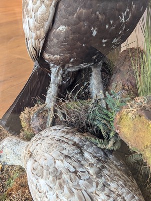 Lot 119 - Taxidermy: a male and female capercaillie