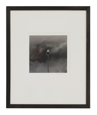 Lot 88 - Rolfe Horn (American, b.1971)