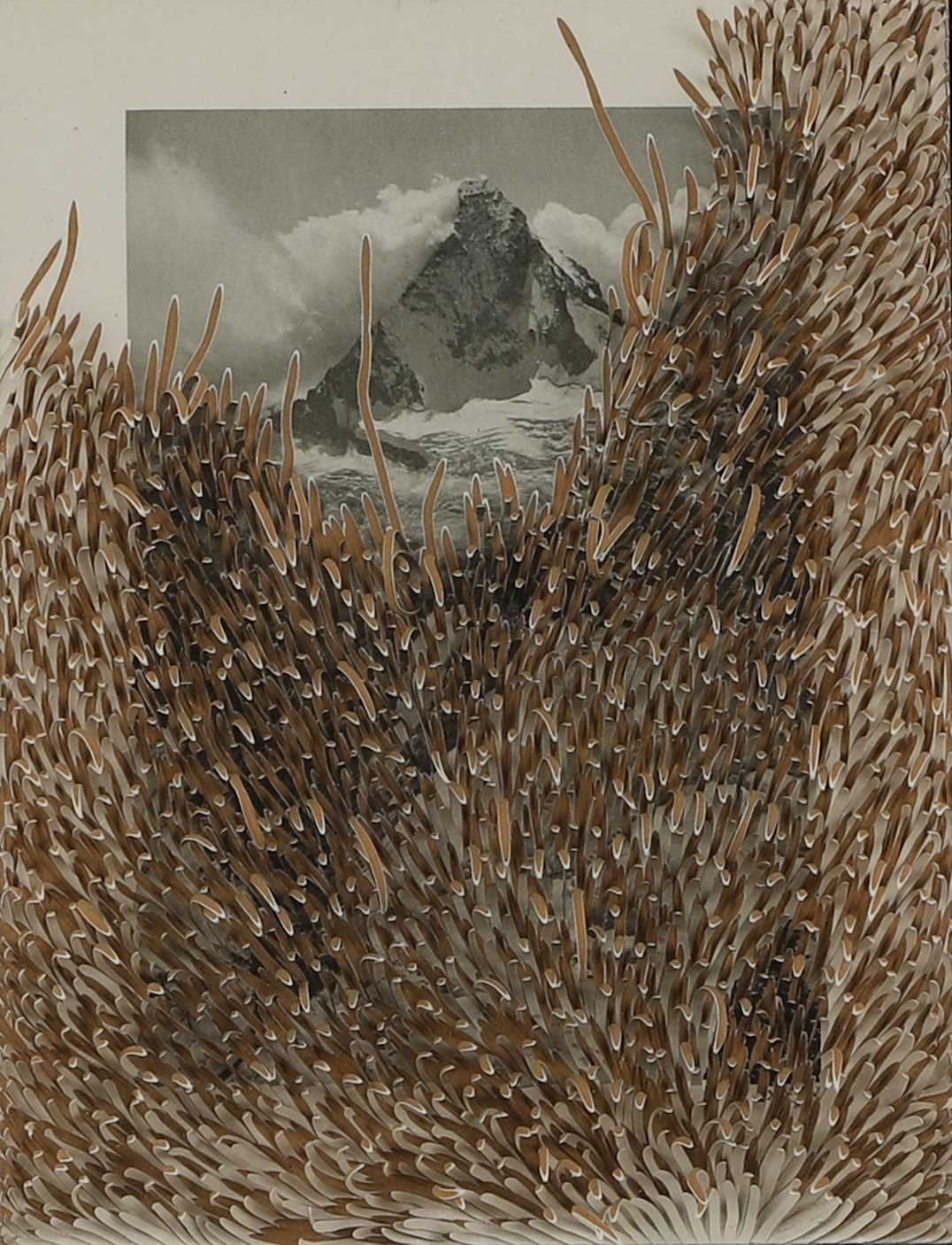 Lot 403 - Jonathan Callan (b.1961)