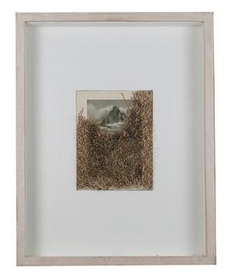 Lot 403 - Jonathan Callan (b.1961)