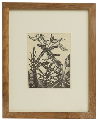 Lot 543 - John Nash RA (1893-1977)