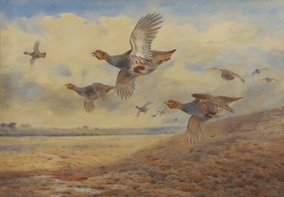 Lot 293 - Archibald Thorburn (1860-1935)