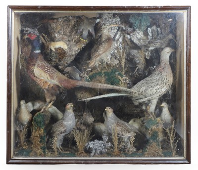 Lot 490 - A large taxidermy closed case