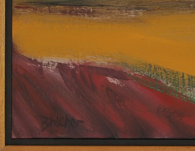 Lot 318 - Carlos Bracher (Brazilian, b.1941)