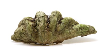 Lot 421 - A imitation resin giant clam shell