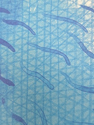 Lot 357 - David Hockney OM CH RA (b.1937)