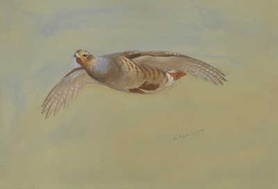 Lot 292 - Archibald Thorburn (1860-1935)