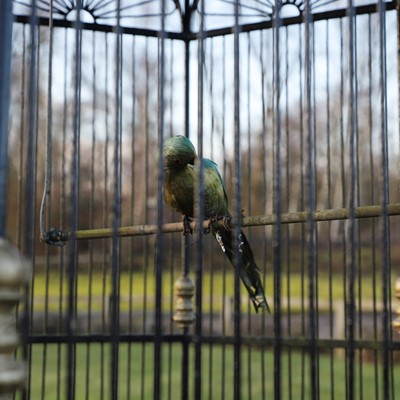 Lot 465 - A wirework garden aviary pavilion