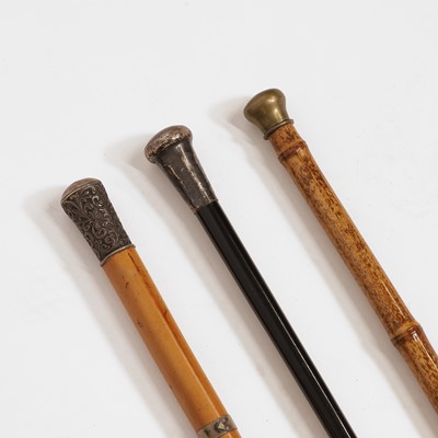 Lot 235 - Three walking sticks