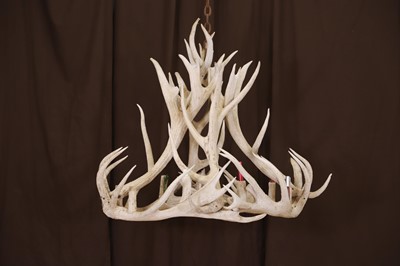 Lot 567 - A reindeer antler chandelier