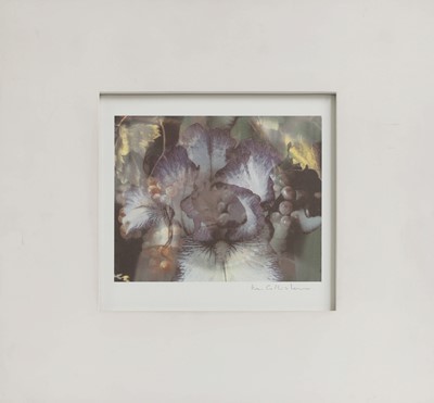 Lot 334 - Mat Collishaw (b.1966)