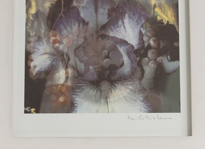 Lot 334 - Mat Collishaw (b.1966)