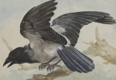 Lot 287 - Aert Schouman (Dutch, 1710-1792)