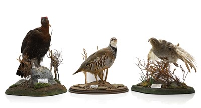 Lot 426 - Taxidermy: game birds