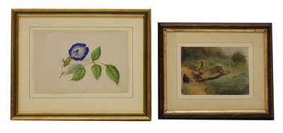 Lot 576 - English School, 20th century