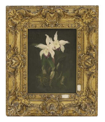 Lot 94 - Stuart Park (1862-1933)