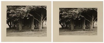 Lot 338 - Fay Godwin (1931-2005)