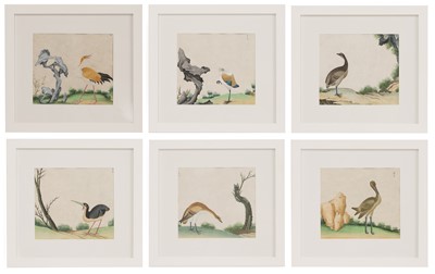 Lot 388 - A collection of six Chinese School watercolours of birds