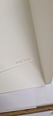 Lot 381 - Yoko Ono (Japanese-American, b.1933)