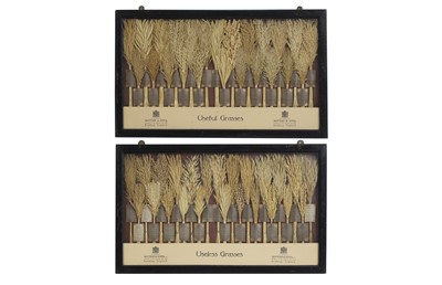 Lot 504 - A pair of Sutton & Sons grass samplers