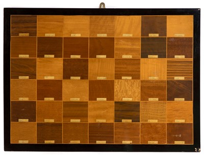 Lot 675 - An inlaid panel of specimen sample woods