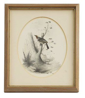 Lot 290 - Edward Lear (1812-1888)