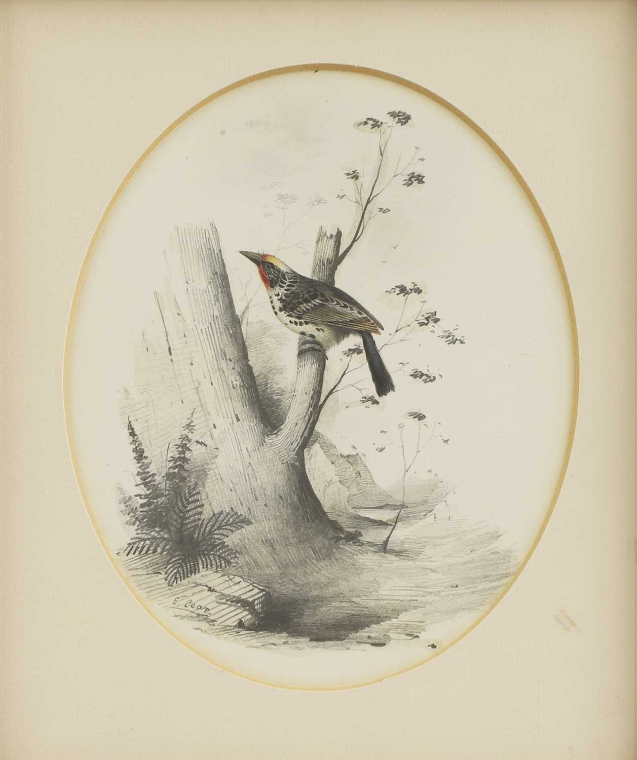 Lot 290 - Edward Lear (1812-1888)