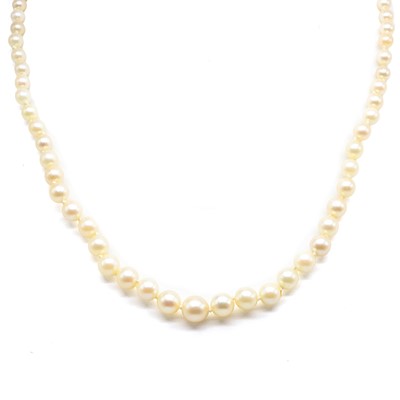 Lot 204 - A single row graduated cultured pearl necklace