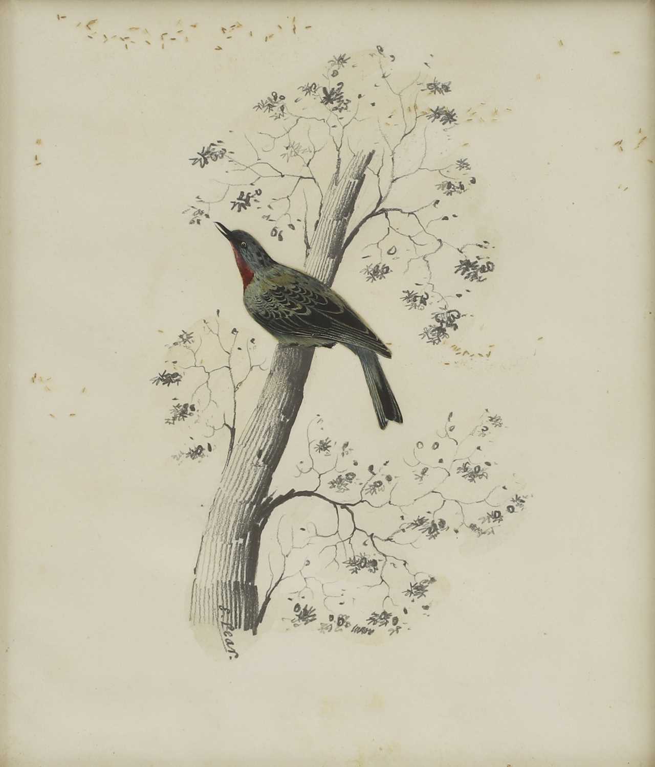 Lot 293 - Edward Lear (1812-1888)