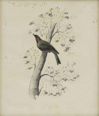 Lot 293 - Edward Lear (1812-1888)
