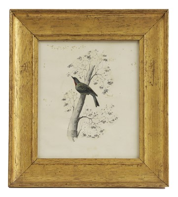 Lot 293 - Edward Lear (1812-1888)