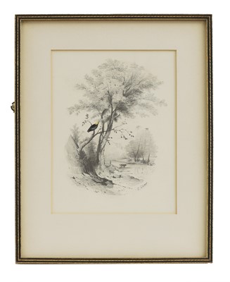 Lot 292 - Edward Lear (1812-1888)