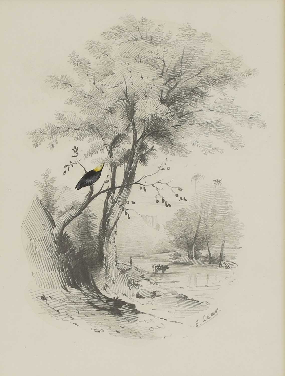 Lot 292 - Edward Lear (1812-1888)
