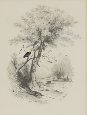 Lot 292 - Edward Lear (1812-1888)