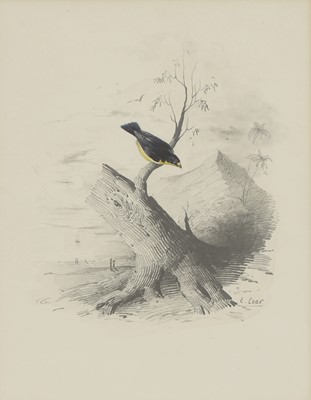 Lot 291 - Edward Lear (1812-1888)
