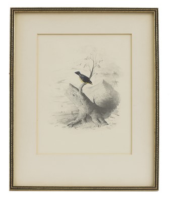 Lot 291 - Edward Lear (1812-1888)